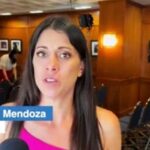 Caso Bertha Michelle Mendoza: de la propagación de fake news a un escándalo judicial y personal